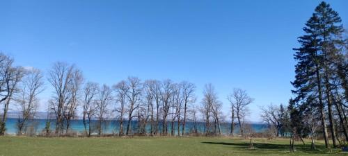 ビーチ, Bio Hof Moosburg am See mit Sauna in ギュッティンゲン ビーチ, Bio Hof Moosburg am See mit Sauna in ギュッティンゲン