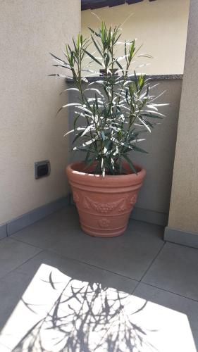 Facilities, Guest@house Fiera-Rho in Lainate Facilities, Guest@house Fiera-Rho in Lainate