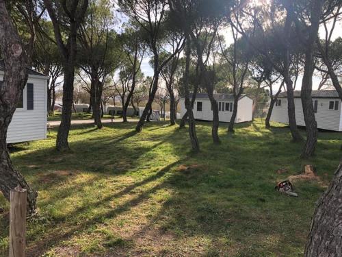 Hotel Camping Freixa