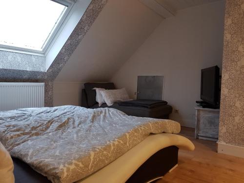 Zucht- und Ausbildungsstall Rubly in Kleinbundenbach Zucht- und Ausbildungsstall Rubly in Kleinbundenbach