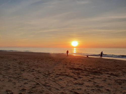 Strand, Hotel La Baine in Capbreton Strand, Hotel La Baine in Capbreton