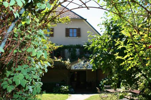 B&B Greiner Hotel