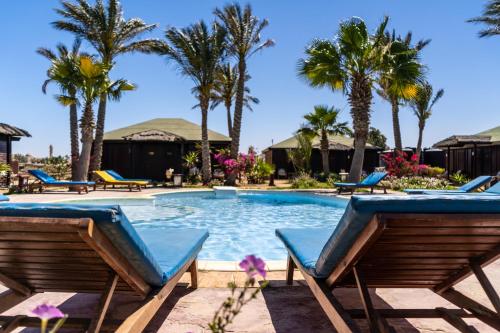 Piscina, Abu Dabbab Lodge. in Qesm Marsa Alam Piscina, Abu Dabbab Lodge. in Qesm Marsa Alam