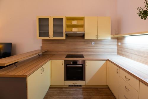 Kitchen, Apartman U Krizku in Jihlava Kitchen, Apartman U Krizku in Jihlava