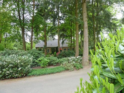 Holiday Home Bosrijk Ruighenrode-5 in Lochem Holiday Home Bosrijk Ruighenrode-5 in Lochem
