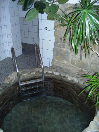 Swimming pool, Pension Fitnessoase in Eußenheim Swimming pool, Pension Fitnessoase in Eußenheim