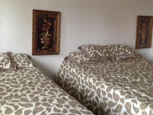 在meiguo.com看到的Rosenberg Motel的介绍图片