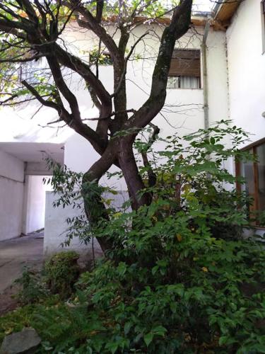 This photo about Chapelco Ski Hotel shared on HyHotel.com