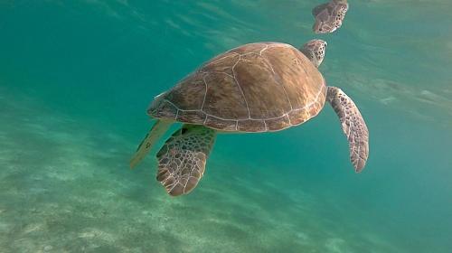 This photo about Fantastic Ground Floor Condo w Pool Facilities shared on HyHotel.com