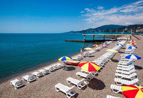 Апартаменты напротив парка Ривьера ,1 к м от моря, 3 спальных места in Sochi Апартаменты напротив парка Ривьера ,1 к м от моря, 3 спальных места in Sochi