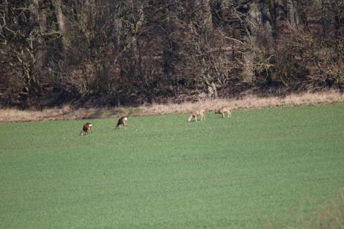 This photo about Hestkær Family Rooms shared on HyHotel.com