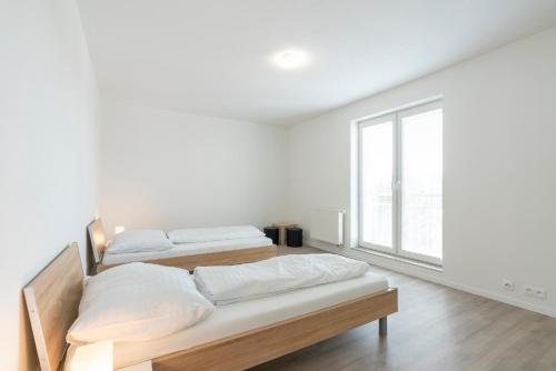Apartmány Noviny (Apartmany Noviny) in Trencin Apartmány Noviny (Apartmany Noviny) in Trencin