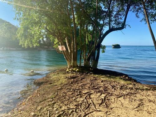 ThA LaGooN SpOt Caribbean BrEeZe in Port Antonio ThA LaGooN SpOt Caribbean BrEeZe in Port Antonio
