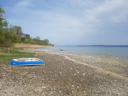 ビーチ, Bio Hof Moosburg am See mit Sauna in ギュッティンゲン ビーチ, Bio Hof Moosburg am See mit Sauna in ギュッティンゲン