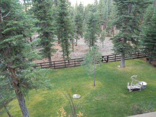 在meiguo.com看到的Heavenly Tree House的介绍图片