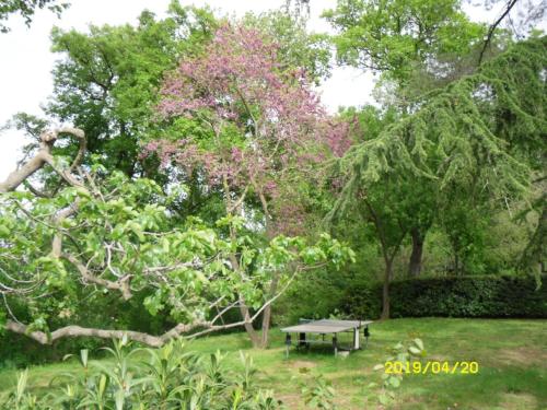Kert, LA CHAPELLE DU PRIEURE in Tourbes Kert, LA CHAPELLE DU PRIEURE in Tourbes