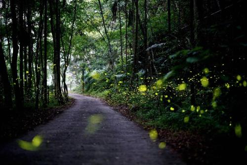 Haowangjiao Homestay in Tongxiao Township Haowangjiao Homestay in Tongxiao Township