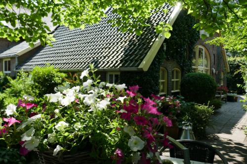 Garden, Appartement Rezonans in Warnsveld Garden, Appartement Rezonans in Warnsveld