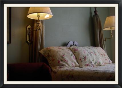 在meiguo.com看到的The Inn in Westport的介绍图片