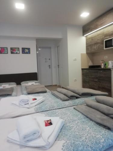 kök, Apartman Centar 1 in Uzice kök, Apartman Centar 1 in Uzice