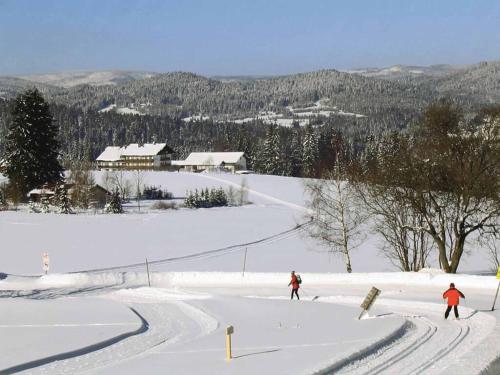 الأنشطة, Hotel Märchenwald (Hotel Marchenwald) in Haidmuhle الأنشطة, Hotel Märchenwald (Hotel Marchenwald) in Haidmuhle