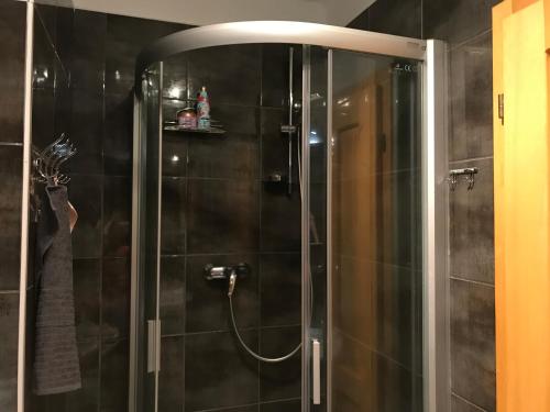 Rustical Apartment in Sumava National Park in Nova Pec Rustical Apartment in Sumava National Park in Nova Pec