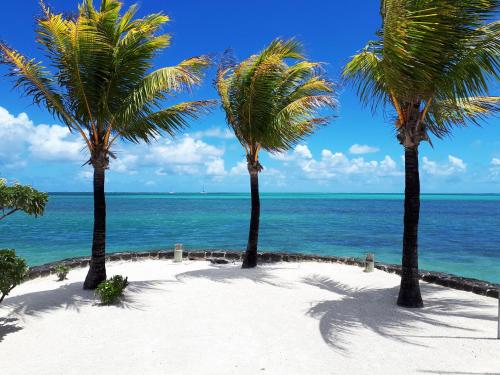 A környék, Case Latanier in Beau Camp A környék, Case Latanier in Beau Camp