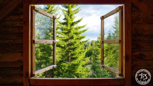 Vedere, Eco Camp Drno Brdo in Krajista Vedere, Eco Camp Drno Brdo in Krajista