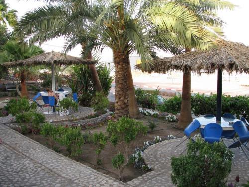 Balcony/terrace, Arava Hostel in Eilat Balcony/terrace, Arava Hostel in Eilat