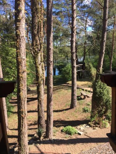 Domek z bali Tryszczyn nad Brdą (Domek z bali Tryszczyn nad Brda) in Tryszczyn Domek z bali Tryszczyn nad Brdą (Domek z bali Tryszczyn nad Brda) in Tryszczyn