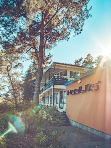 外觀, Kastytis in 內林加 外觀, Kastytis in 內林加