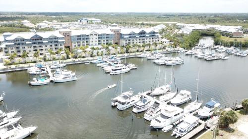 Beach, DOLPHINS, BEACH step away, WIFI, FREE PARKING,POOLS, JACUZZI in Ruskin (FL) Beach, DOLPHINS, BEACH step away, WIFI, FREE PARKING,POOLS, JACUZZI in Ruskin (FL)