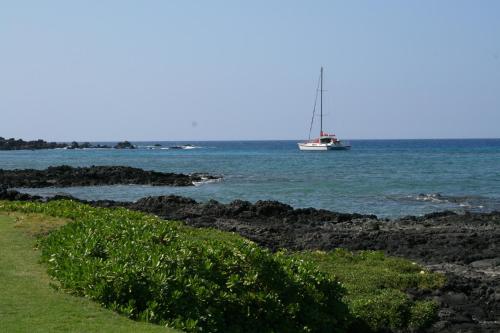 This photo about Palm Resort at Mauna Lani shared on HyHotel.com