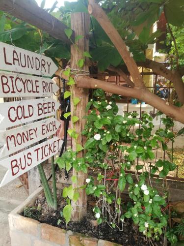 館内設備, Bike&Bed in ターケーク 館内設備, Bike&Bed in ターケーク