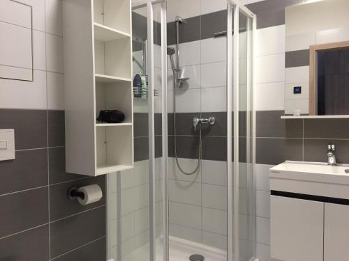 Fürdőszoba, Apartman Erika Lipno in Frymburk Fürdőszoba, Apartman Erika Lipno in Frymburk