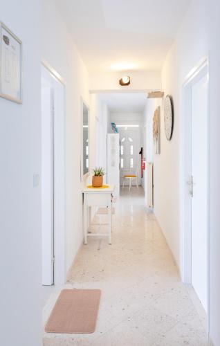 Apartments Mirela in Zavrelje Apartments Mirela in Zavrelje