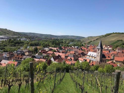 Surrounding environment, Ferienwohnung am Weinberg in Randersacker Surrounding environment, Ferienwohnung am Weinberg in Randersacker
