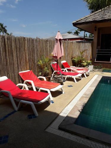 オアシス ハクナ マタタ16