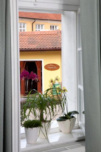 Bejárat, Apartmany Supina in Trebon Bejárat, Apartmany Supina in Trebon
