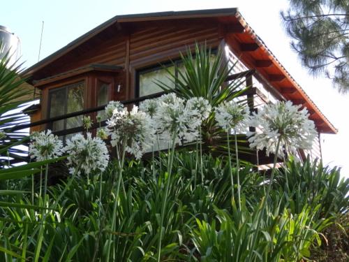 Hotel Cabañas los Jilgueros
