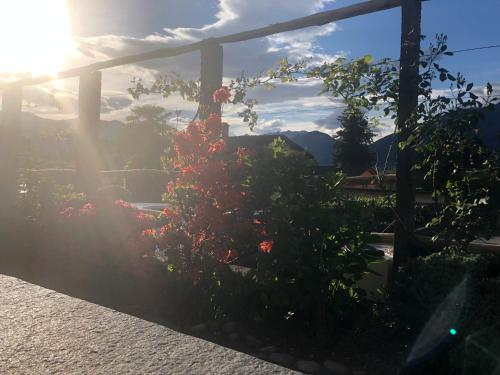 razgled, Al Grottino in Piazzogna razgled, Al Grottino in Piazzogna