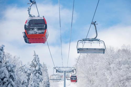 This photo about Snow Cap Inn shared on HyHotel.com