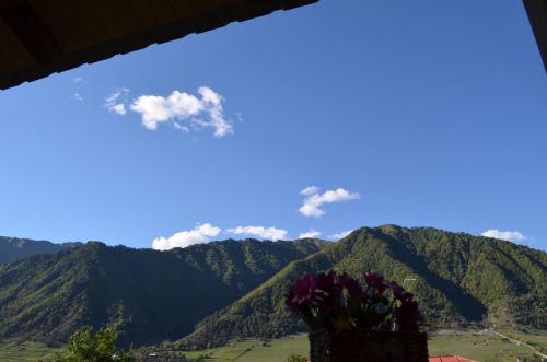 Cottage Shgedi in 巴瓦丹纳里 Cottage Shgedi in 巴瓦丹纳里