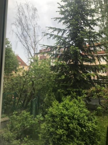 Pokoje Wrzeszcz in Zaspa Pokoje Wrzeszcz in Zaspa