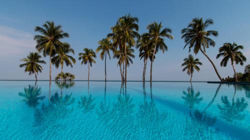 Плувен басейн, Anjajavy le Lodge - Relais&Châteaux (Anjajavy le Lodge - Relais&Chateaux) in Marovoha Плувен басейн, Anjajavy le Lodge - Relais&Châteaux (Anjajavy le Lodge - Relais&Chateaux) in Marovoha