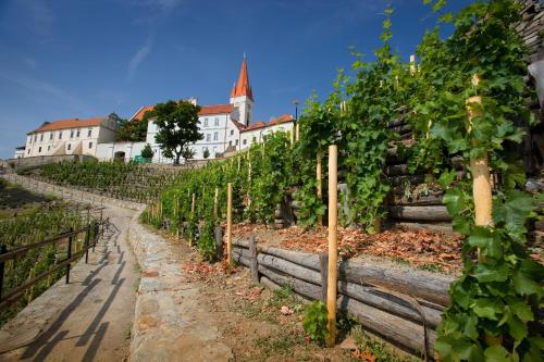 สภาพแวดล้อมโดยรอบ, Hotel Lahofer in ซนอยโม สภาพแวดล้อมโดยรอบ, Hotel Lahofer in ซนอยโม