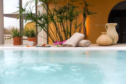 สระว่ายน้ำ, เรซิด็องซ์ โอเตลิเยร์ นาตูเรวา แอนด์ สปา (Residence Hoteliere Natureva & Spa) in อากด์ สระว่ายน้ำ, เรซิด็องซ์ โอเตลิเยร์ นาตูเรวา แอนด์ สปา (Residence Hoteliere Natureva & Spa) in อากด์