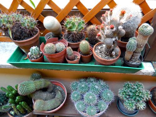 This photo about Abitazione Pigneto B&B shared on HyHotel.com