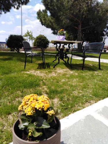 Cozy apartments in Komotini Cozy apartments in Komotini