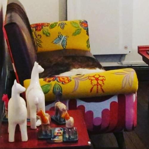 This photo about Habitaciones con Encanto, Espacio Mundano shared on HyHotel.com